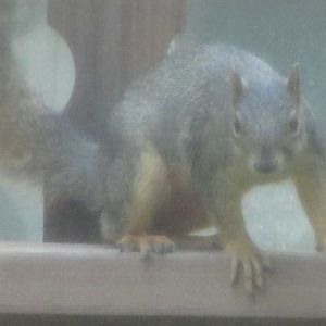 Meet your Posher, Elena